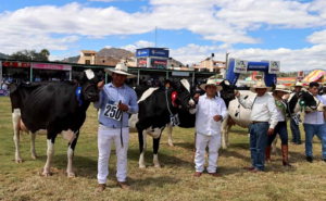 Cajamarca lidera producción lechera en Perú con 17,5 %